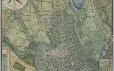Plan vom Schenkenwald im 18. Jahrhundert